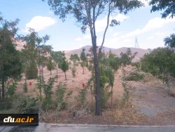 بازدید سرزده مدیرکل پشتیبانی رفاه کارکنان دانشگاه فرهنگیان از پردیس حضرت زینب کبری (س) استان مرکزی 5