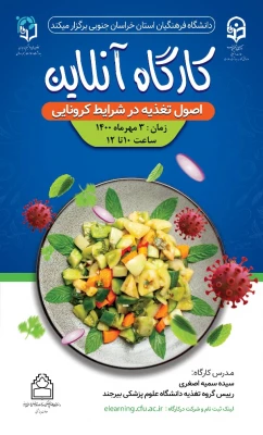  برگزاری کارگاه های آنلاین ویژه همیاران سلامت جسم و روان 5