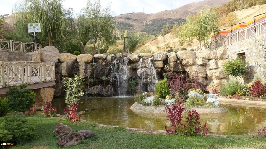  همایش پیاده روی مشترک اساتید و کارکنان دانشگاه فرهنگیان استان کردستان
 5