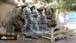  همایش پیاده روی مشترک اساتید و کارکنان دانشگاه فرهنگیان استان کردستان
 7