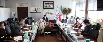 دکتر محمدی:

تربیت نیروی ماهر در حوزه قرآن وعترت از برنامه های راهبردی دانشگاه فرهنگیان است 