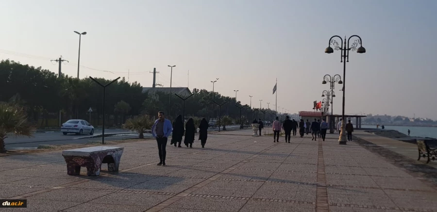 به مناسبت دومین سالروز شهادت شهید حاج قاسم سلیمانی؛
همایش پیاده روی دانشگاه فرهنگیان بوشهر برگزار شد 2