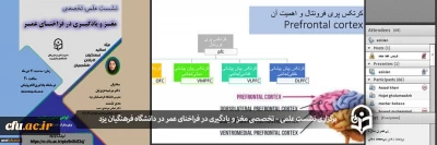 در دانشگاه فرهنگیان یزد برگزار شد:

نشست علمی، تخصصی مغز و یادگیری در فراخنای عمر
