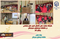 کارگاه مهارتهای کاهش آسیب های اجتماعی 3