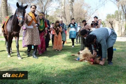 اختتامیه جشنواره اقوام برگزار شد 11