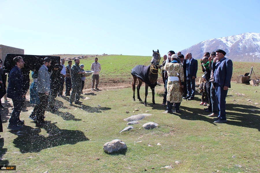 اختتامیه جشنواره اقوام برگزار شد 16