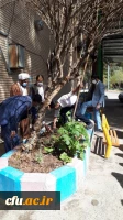 کاشت نهال به مناسبت هفته منابع طبیعی وروز درختکاری توسط دانشجویان پردیس های استان سیستان وبلوچستان 3