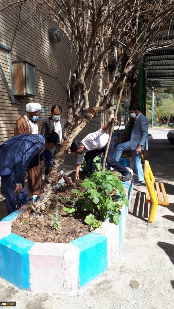 کاشت نهال به مناسبت هفته منابع طبیعی وروز درختکاری توسط دانشجویان پردیس های استان سیستان وبلوچستان 3