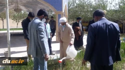 کاشت نهال به مناسبت هفته منابع طبیعی وروز درختکاری توسط دانشجویان پردیس های استان سیستان وبلوچستان 4