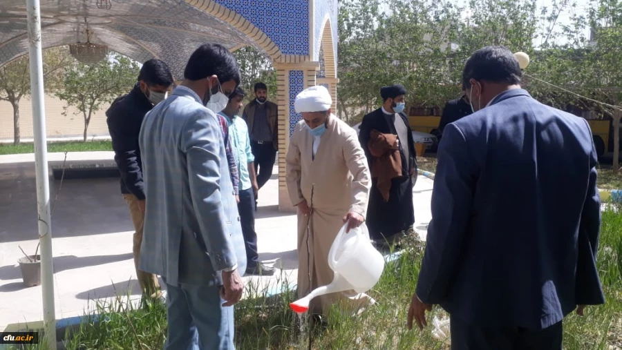 کاشت نهال به مناسبت هفته منابع طبیعی وروز درختکاری توسط دانشجویان پردیس های استان سیستان وبلوچستان 4