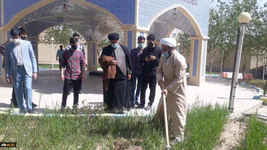 کاشت نهال به مناسبت هفته منابع طبیعی وروز درختکاری توسط دانشجویان پردیس های استان سیستان وبلوچستان 2