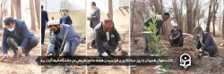 کاشت نهال همزمان با روز درختکاری و فرارسیدن هفته منابع طبیعی
 2