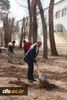 کاشت نهال همزمان با روز درختکاری و فرارسیدن هفته منابع طبیعی
 3