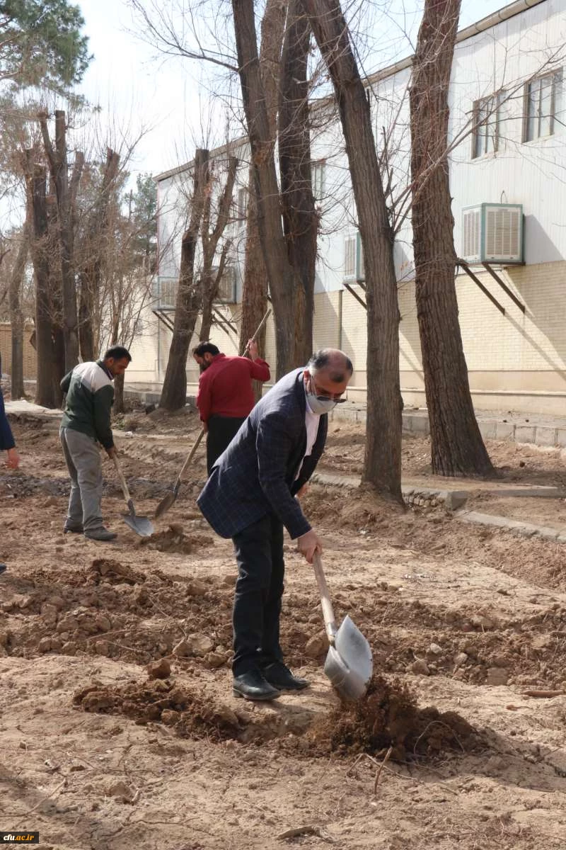 کاشت نهال همزمان با روز درختکاری و فرارسیدن هفته منابع طبیعی
 3