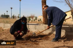 کاشت نهال همزمان با روز درختکاری و فرارسیدن هفته منابع طبیعی
 4