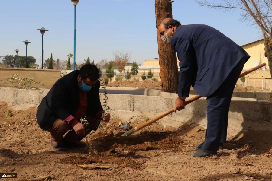 کاشت نهال همزمان با روز درختکاری و فرارسیدن هفته منابع طبیعی
 4