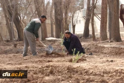 کاشت نهال همزمان با روز درختکاری و فرارسیدن هفته منابع طبیعی
 5