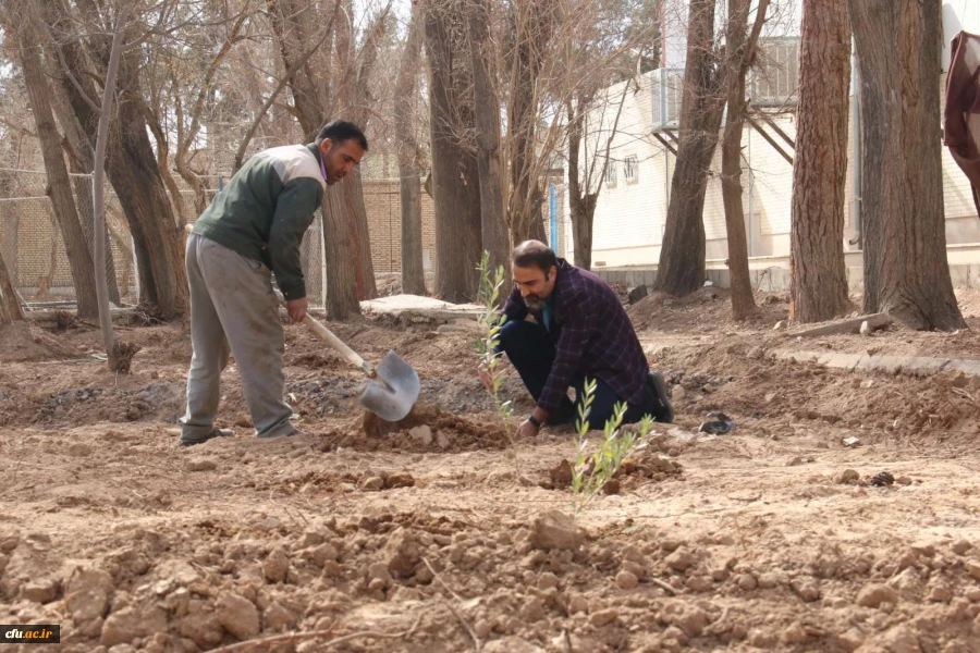 کاشت نهال همزمان با روز درختکاری و فرارسیدن هفته منابع طبیعی
 5