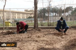 کاشت نهال همزمان با روز درختکاری و فرارسیدن هفته منابع طبیعی
 6