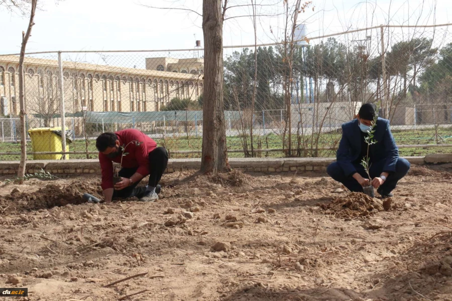 کاشت نهال همزمان با روز درختکاری و فرارسیدن هفته منابع طبیعی
 6