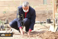 کاشت نهال همزمان با روز درختکاری و فرارسیدن هفته منابع طبیعی
 7