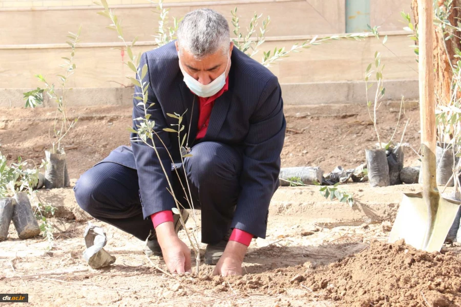 کاشت نهال همزمان با روز درختکاری و فرارسیدن هفته منابع طبیعی
 7