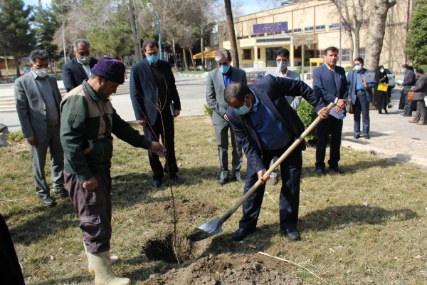 توجه جدی به حوزه سلامت روان در ابعاد مختلف در دوران کروناو پسا کرونا  5