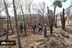 کاشت نهال همزمان با روز درختکاری و فرارسیدن هفته منابع طبیعی
 8