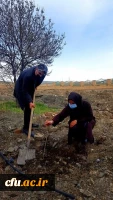  غرس نهال ایثار به مناسبت گرامیداشت یاد و خاطره شهدای دانشجومعلم دانشگاه فرهنگیان لرستان 4