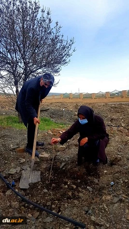  غرس نهال ایثار به مناسبت گرامیداشت یاد و خاطره شهدای دانشجومعلم دانشگاه فرهنگیان لرستان 4