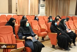 کارگاه  آموزشی -مهارتی سلامت زنان
  3