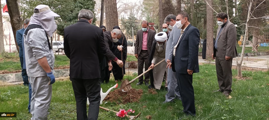 به مناسبت روز شهید و گرامی داشت یاد و خاطره شهدای دانشجو معلم، چندین نهال مثمر در محوطه پردیس ها و مراکز دانشگاه فرهنگیان لرستان غرس شد 5