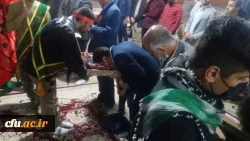 با حضور دانشجومعلمان دانشگاه فرهنگیان استان کهگیلویه و بویراحمد در گلزار شهدا انجام شد:

برگزاری طرح ضیافت شهدا 2