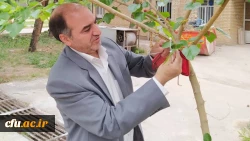 نامگذاری درختان پردیس شهید بهشتی به یاد شهدای تربیت معلم و همکاران درگذشته دانشگاه فرهنگیان استان