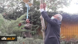 نامگذاری درختان پردیس شهید بهشتی به یاد شهدای تربیت معلم و همکاران درگذشته دانشگاه فرهنگیان استان