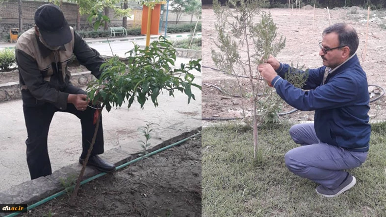 نامگذاری درختان پردیس شهید بهشتی به یاد شهدای تربیت معلم و همکاران درگذشته دانشگاه فرهنگیان استان