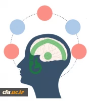 پایگاه مدیریت دانش