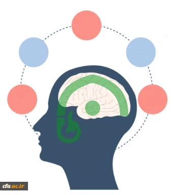پایگاه مدیریت دانش