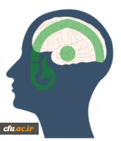 لوگو پایگاه مدیریت دانش