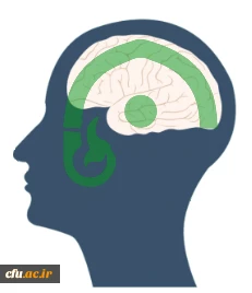 لوگو پایگاه مدیریت دانش