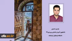 عکس پتانسیل فراوانی برای بیان وقایع دارد 2