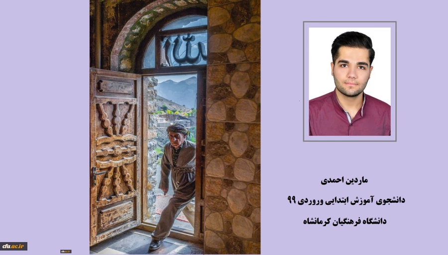 عکس پتانسیل فراوانی برای بیان وقایع دارد 2