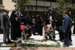 مرحله کشوری جشنواره غذای سالم  16