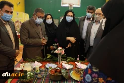 مرحله کشوری جشنواره غذای سالم  17