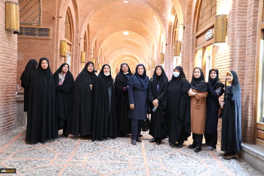 دوره بالندگی حرفه ای شورای انضباطی و شورای بررسی موارد خاص به روایت تصویر 24