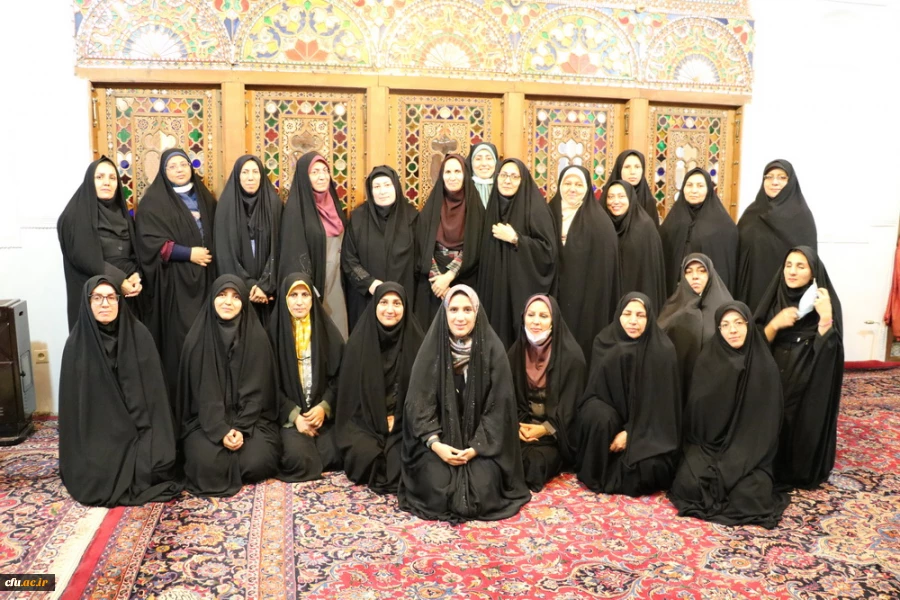 دوره بالندگی حرفه ای شورای انضباطی و شورای بررسی موارد خاص به روایت تصویر 26