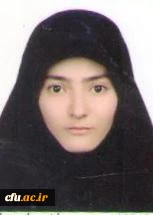 رویکرد اصلی دفاتر نهاد، تقویت برنامه های شاخص و جریان ساز است 14