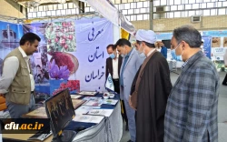 توسط سرپرست معاونت فرهنگی و اجتماعی دانشگاه فرهنگیان صورت گرفت:
بازدید از ششمین نمایشگاه جشنواره رویش قطب یک درکرمان 2