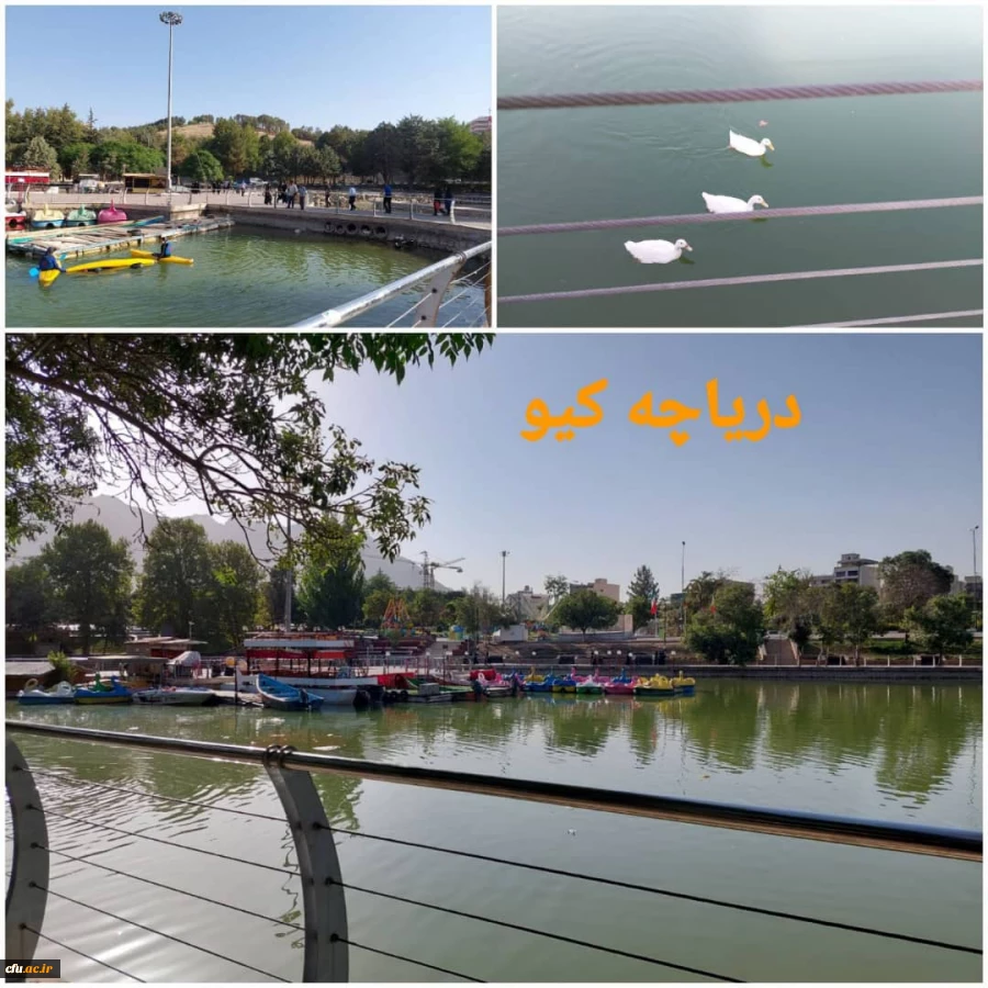 همایش پیاده روی کارکنان و دانشجو معلمان پردیس آیت اله کمالوند صورت پذیرفت 7