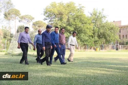 همایش پیاده روی
 3